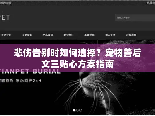 悲伤告别时如何选择？宠物善后文三贴心方案指南