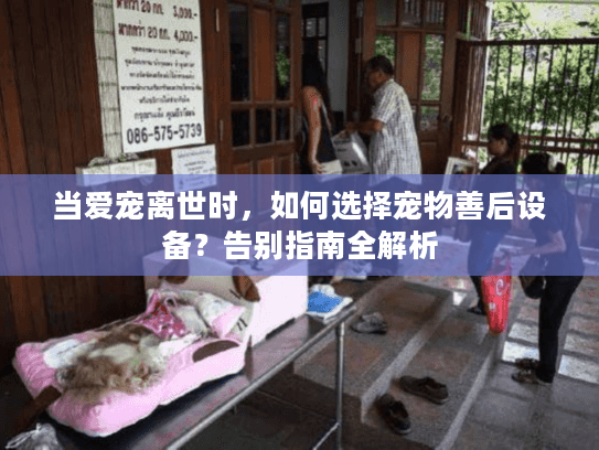 当爱宠离世时,如何选择宠物善后设备?告别指南全解析 当爱宠离世时,如何选择宠物善后设备?告别指南全解析
