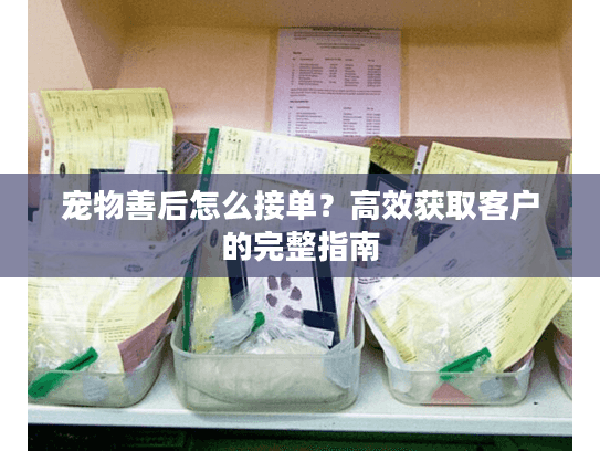 宠物善后怎么接单？高效获取客户的完整指南
