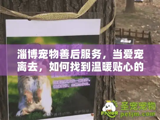 淄博宠物善后服务，当爱宠离去，如何找到温暖贴心的告别方案？
