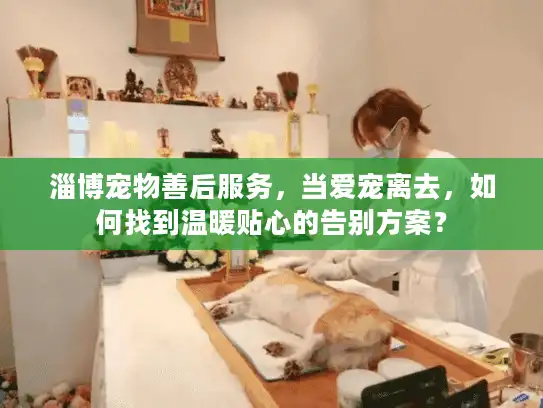 淄博宠物善后服务，当爱宠离去，如何找到温暖贴心的告别方案？