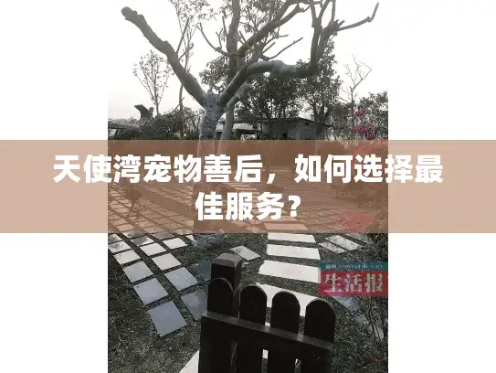 天使湾宠物善后，如何选择最佳服务？