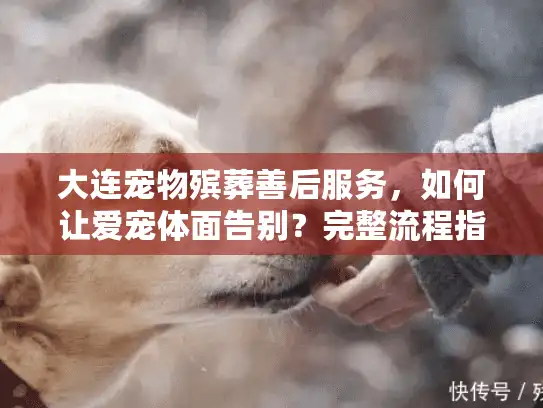 大连宠物殡葬善后服务，如何让爱宠体面告别？完整流程指南在这里
