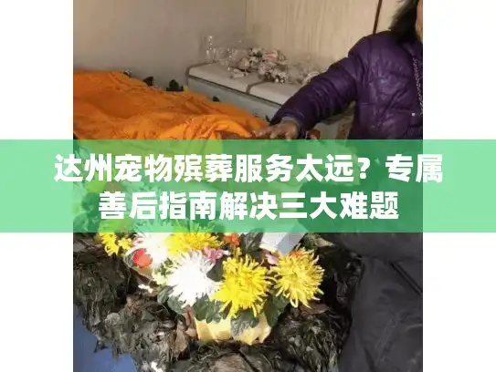 达州宠物殡葬服务太远？专属善后指南解决三大难题