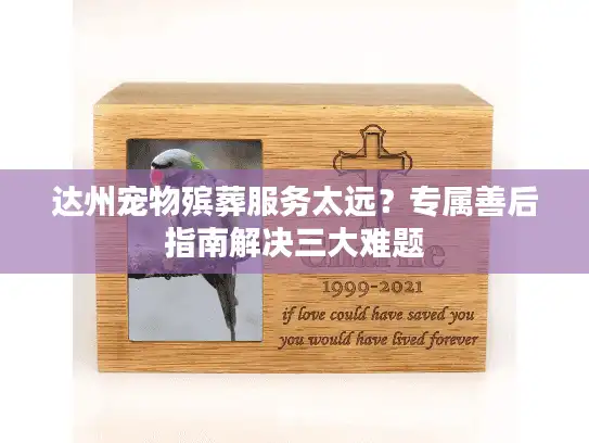 达州宠物殡葬服务太远？专属善后指南解决三大难题