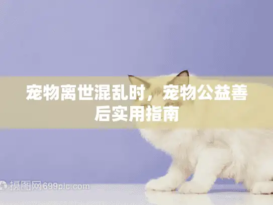 宠物离世混乱时,宠物公益善后实用指南 宠物离世混乱时,宠物公益善后实用指南