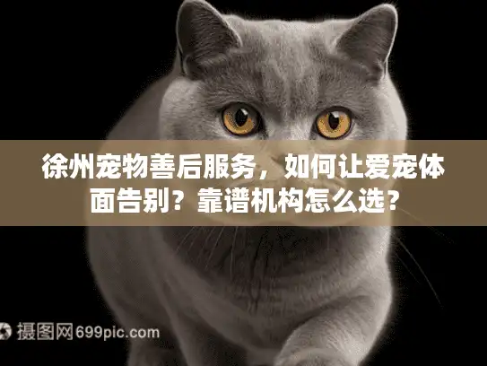 徐州宠物善后服务，如何让爱宠体面告别？靠谱机构怎么选？