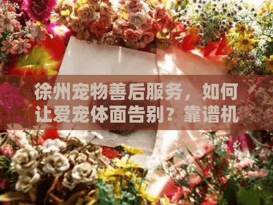 徐州宠物善后服务，如何让爱宠体面告别？靠谱机构怎么选？