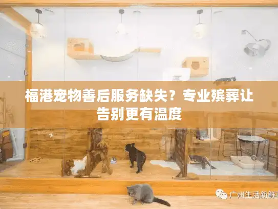 福港宠物善后服务缺失？专业殡葬让告别更有温度