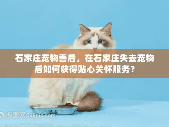 石家庄宠物善后，在石家庄失去宠物后如何获得贴心关怀服务？