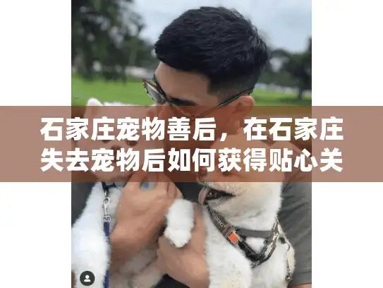 石家庄宠物善后，在石家庄失去宠物后如何获得贴心关怀服务？