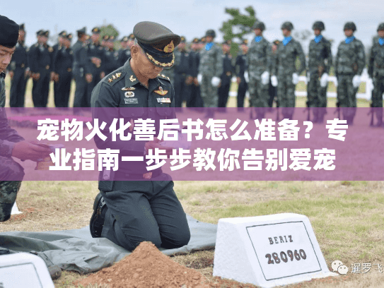 宠物火化善后书怎么准备？专业指南一步步教你告别爱宠