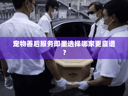 宠物善后服务即墨选择哪家更靠谱？