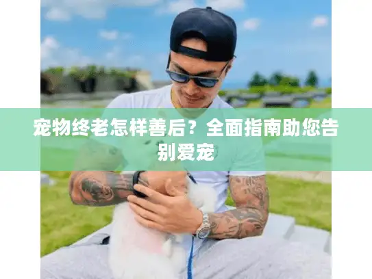 宠物终老怎样善后？全面指南助您告别爱宠