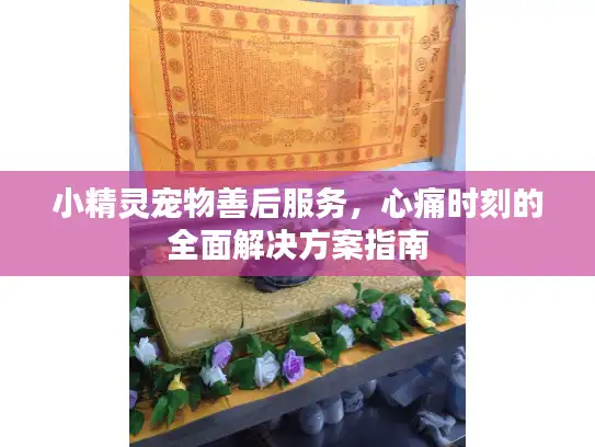 小精灵宠物善后服务,心痛时刻的全面解决方案指南 小精灵宠物善后服务,心痛时刻的全面解决方案指南