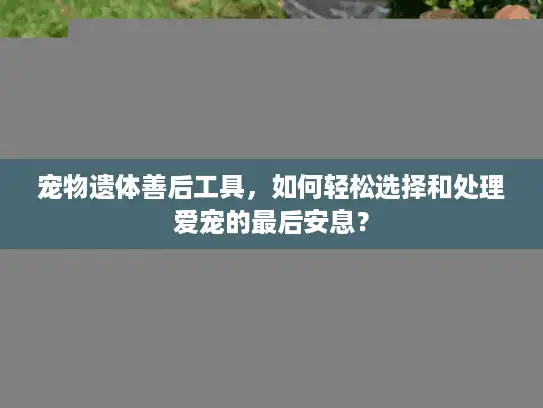 宠物遗体善后工具，如何轻松选择和处理爱宠的最后安息？