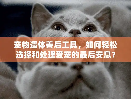 宠物遗体善后工具，如何轻松选择和处理爱宠的最后安息？