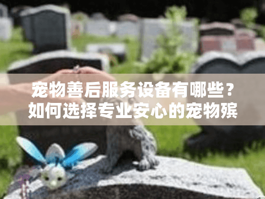 宠物善后服务设备有哪些?如何选择专业安心的宠物殡葬设施 宠物善后服务设备有哪些?如何选择专业安心的宠物殡葬设施