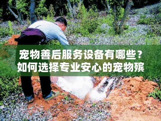 宠物善后服务设备有哪些?如何选择专业安心的宠物殡葬设施 宠物善后服务设备有哪些?如何选择专业安心的宠物殡葬设施
