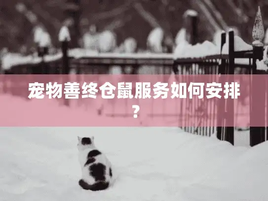 宠物善终仓鼠服务如何安排？