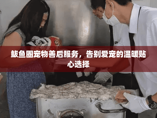 鲅鱼圈宠物善后服务，告别爱宠的温暖贴心选择