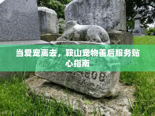 当爱宠离去，鞍山宠物善后服务贴心指南