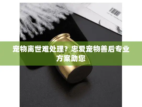 宠物离世难处理？忠爱宠物善后专业方案助您