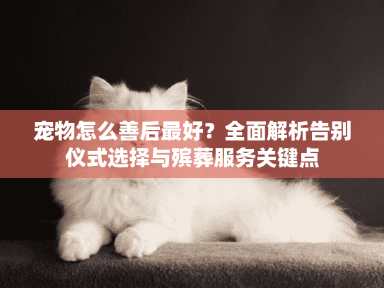 宠物怎么善后最好?全面解析告别仪式选择与殡葬服务关键点 宠物怎么善后最好?全面解析告别仪式选择与殡葬服务关键点