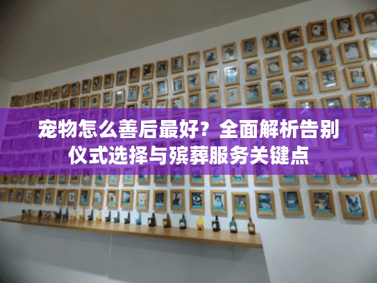 宠物怎么善后最好?全面解析告别仪式选择与殡葬服务关键点 宠物怎么善后最好?全面解析告别仪式选择与殡葬服务关键点