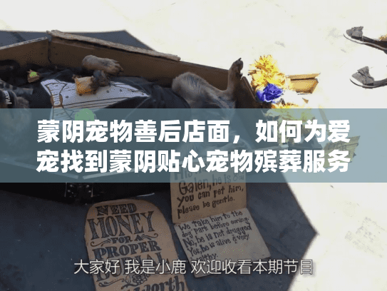 蒙阴宠物善后店面，如何为爱宠找到蒙阴贴心宠物殡葬服务？