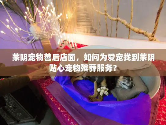 蒙阴宠物善后店面，如何为爱宠找到蒙阴贴心宠物殡葬服务？