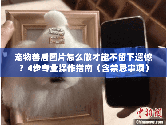 宠物善后图片怎么做才能不留下遗憾？4步专业操作指南（含禁忌事项）