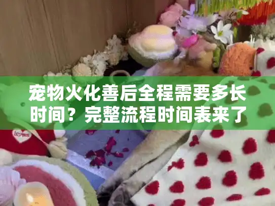 宠物火化善后全程需要多长时间？完整流程时间表来了