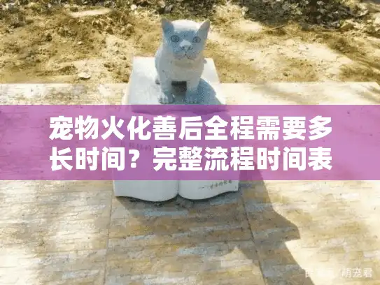 宠物火化善后全程需要多长时间？完整流程时间表来了