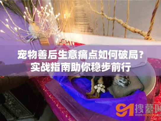 宠物善后生意痛点如何破局?实战指南助你稳步前行 宠物善后生意痛点如何破局?实战指南助你稳步前行