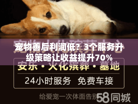 宠物善后利润低?3个服务升级策略让收益提升70% 宠物善后利润低?3个服务升级策略让收益提升70%