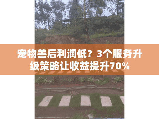 宠物善后利润低?3个服务升级策略让收益提升70% 宠物善后利润低?3个服务升级策略让收益提升70%