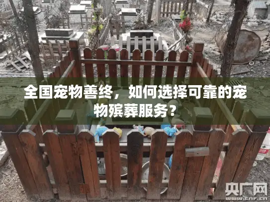 全国宠物善终,如何选择可靠的宠物殡葬服务? 全国宠物善终,如何选择可靠的宠物殡葬服务?