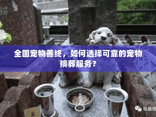 全国宠物善终,如何选择可靠的宠物殡葬服务? 全国宠物善终,如何选择可靠的宠物殡葬服务?
