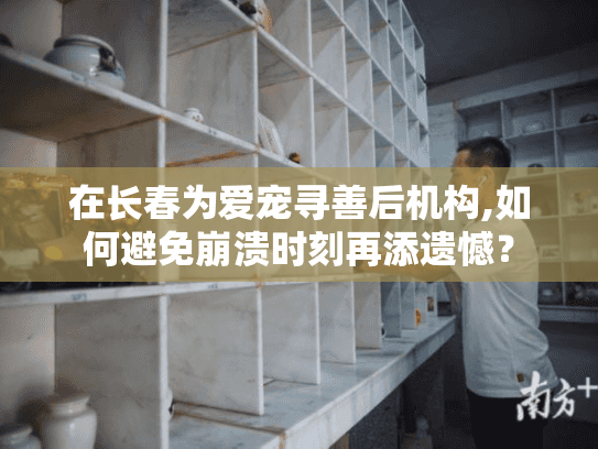 在长春为爱宠寻善后机构,如何避免崩溃时刻再添遗憾？