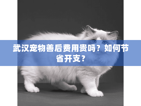 武汉宠物善后费用贵吗？如何节省开支？