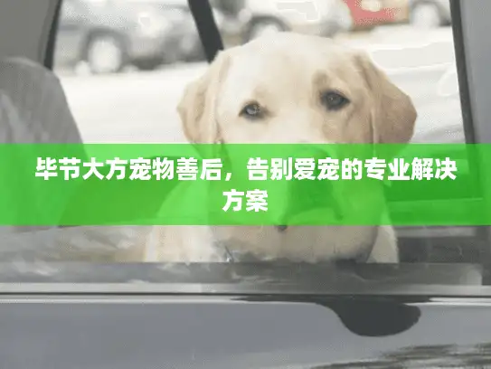 毕节大方宠物善后，告别爱宠的专业解决方案