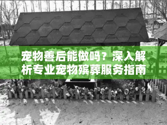 宠物善后能做吗?深入解析专业宠物殡葬服务指南 宠物善后能做吗?深入解析专业宠物殡葬服务指南