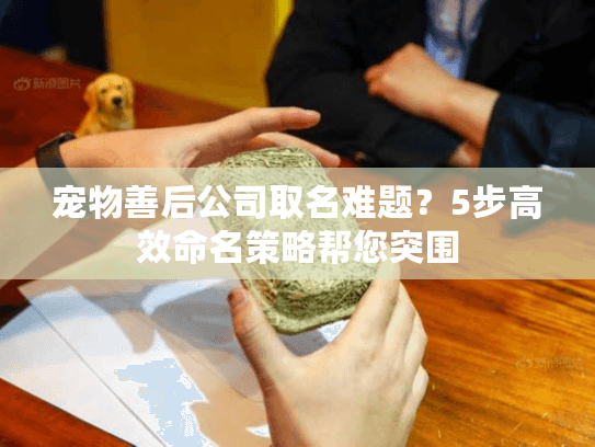 宠物善后公司取名难题？5步高效命名策略帮您突围