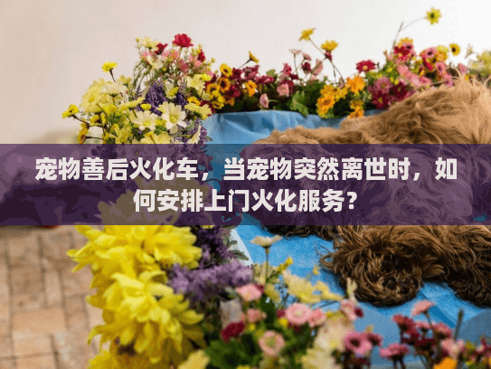 宠物善后火化车,当宠物突然离世时,如何安排上门火化服务? 宠物善后火化车,当宠物突然离世时,如何安排上门火化服务?