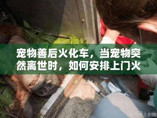 宠物善后火化车,当宠物突然离世时,如何安排上门火化服务? 宠物善后火化车,当宠物突然离世时,如何安排上门火化服务?