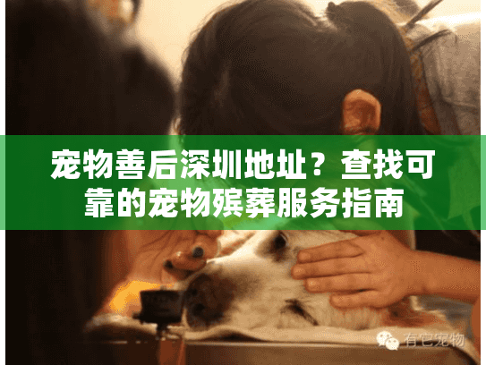 宠物善后深圳地址?查找可靠的宠物殡葬服务指南 宠物善后深圳地址?查找可靠的宠物殡葬服务指南