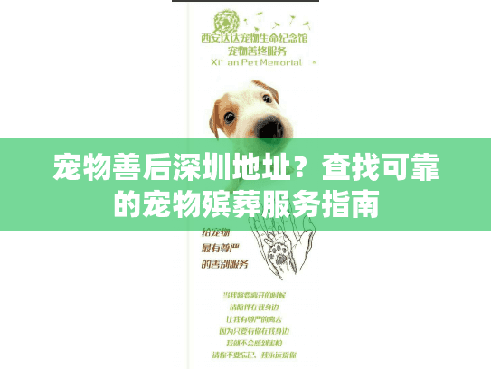宠物善后深圳地址?查找可靠的宠物殡葬服务指南 宠物善后深圳地址?查找可靠的宠物殡葬服务指南