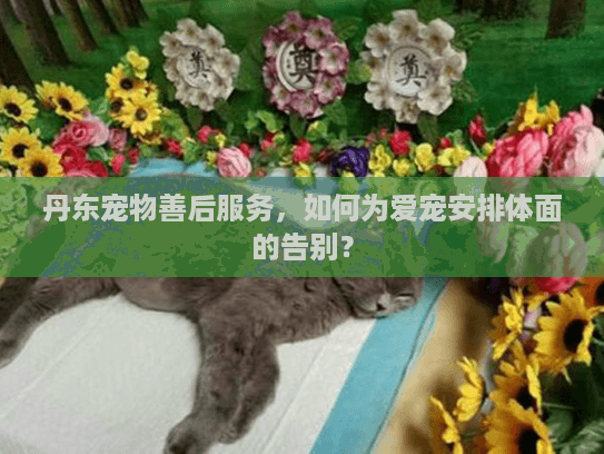 丹东宠物善后服务，如何为爱宠安排体面的告别？