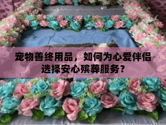 宠物善终用品,如何为心爱伴侣选择安心殡葬服务? 宠物善终用品,如何为心爱伴侣选择安心殡葬服务?